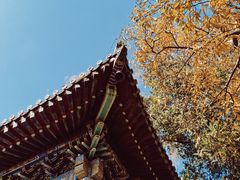 -潭柘寺景区