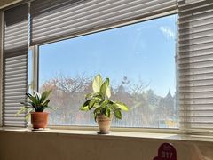 -奕景海鲜酒家· 大连海鲜(星海广场店)