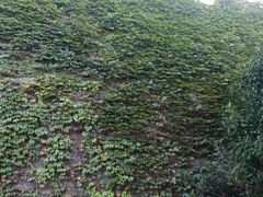 -相门城墙文化休闲景区