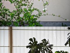 -元古雲境(太古里店)
