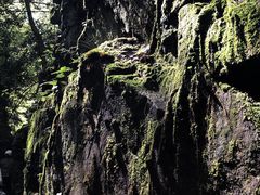 -藏龙百瀑风景区