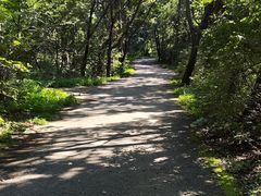 -萨尔浒风景区