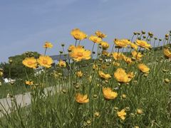 -嘉北郊野公园