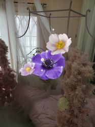 -星光贝贝(万达店)