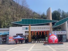 -江西阳明山国家森林公园
