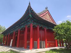 -曹州牡丹园