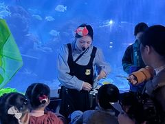 -重庆欢乐海底世界