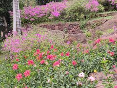 -蟹山公园