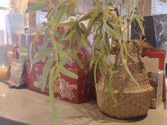 -龙湖重庆时代天街