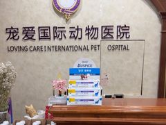 -宠爱国际动物医院· 猫科· 外科·中兽医(长白店)