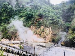 -莫里热带雨林景区