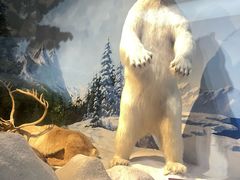 -陕西自然博物馆