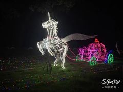 -武汉紫薇都市田园