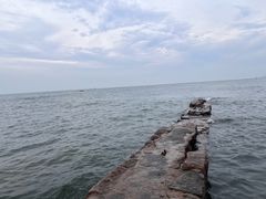 -青岛第二海水浴场