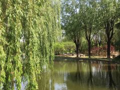 -石家庄市植物园