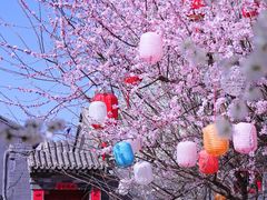 -三里河公园
