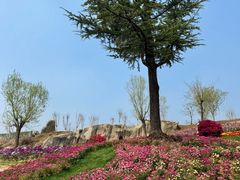-沂蒙云瀑洞天景区