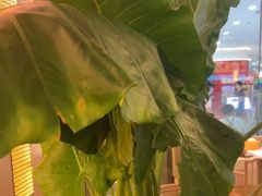 -桂满陇·手作小笼包&江南叫花鸡(中山公园店)