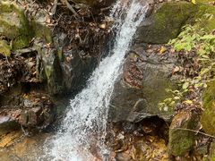 -五女峰国家森林公园