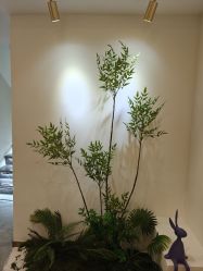 -FUMEIHUI·科技美肤·美体SPA