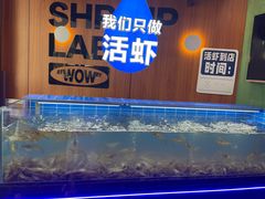 -0048鲜活香辣虾·火锅(铜陵路店)
