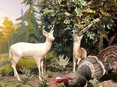 -陕西自然博物馆