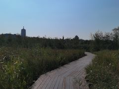 -永定河休闲森林公园