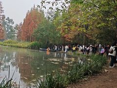 -白鹭湾湿地公园