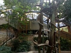 -香港大学