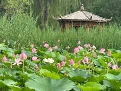 -太阳宫公园