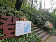 -重庆平顶山公园
