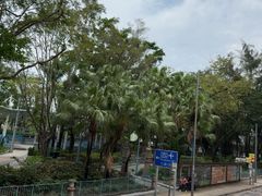 -香港大学