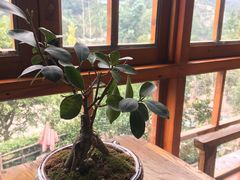 -楠柏弯休闲山庄(梨花溪店)