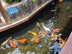 -侠成水上农庄(工业大道店)