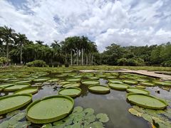 -中国科学院西双版纳热带植物园