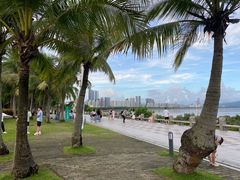 -深圳湾公园(南山区)
