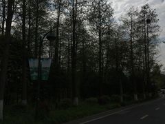 -西溪国家湿地公园