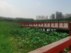 -人杰湖公园(地铁站)