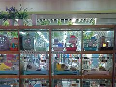 -宠物兔专门店(天丰利市场店)