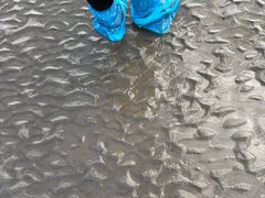 -奉贤海滩