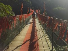 -桂林古东瀑布景区