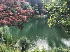 -缙云山景区