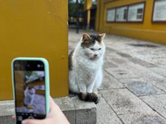 -西园戒幢律寺