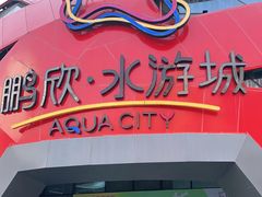 -鹏欣水游城