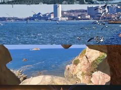 -养马岛旅游度假区