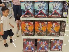 -TOYSRUS玩具反斗城(上海青浦吾悦广场店)