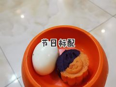 -北京京卫宠物寄养训练中心