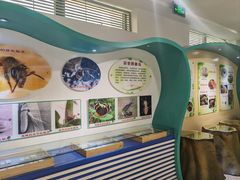 -上海昆虫博物馆