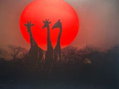 -罗红摄影艺术馆