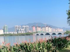 -飞来湖湿地公园